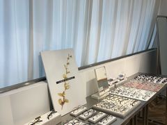 -大视家眼镜(园区星海店)