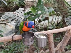 -南宫五洲植物乐园