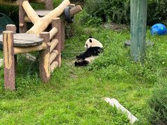-沈阳森林动物园