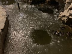 -呼吸森林·生态农庄农家乐私房菜