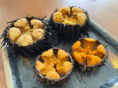 -海胆小馆(东北水饺·春柳店)