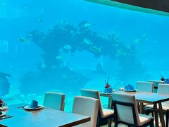 -海棠湾洲际-涛·海底餐厅·美人鱼·自助餐·海底隧道
