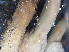 -宜宾海鲜酒家·三十年老字号