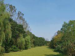 -溱湖国家湿地公园