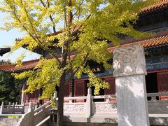 -挂甲禅寺