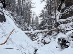 -峡谷浮石林景区