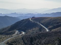 -阳台山自然风景区