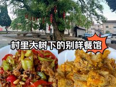 -大树下饭店(春晓镇慈岙社区卫生服务站南)