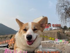 -小南海站