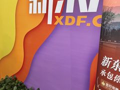 -新东方素质(金源校区)