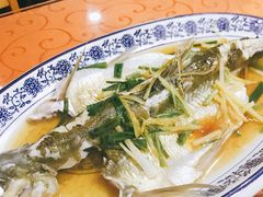 -洞天食府(北大街店)