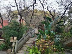-乌山风景区
