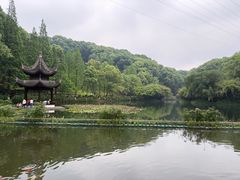 -忠山公园