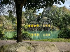 -三道苗苗鱼(三道堰老字号店)