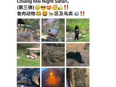 -清迈夜间动物园