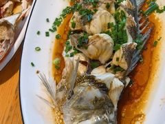 -金海湾海鲜排档(朱家尖店)