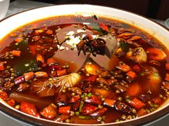 -雲蜀龙阁·金牌水煮鱼(方庄店)