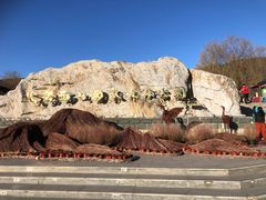 -北京西山国家森林公园