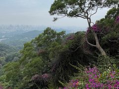 -广州市白云山风景名胜区