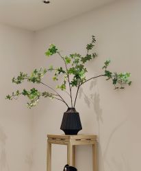 -清疣美疣·痣·斑净肤中心