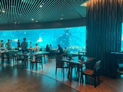 -涛·海底餐厅·美人鱼·自助餐·海底隧道(三亚海棠湾洲际度假酒店)
