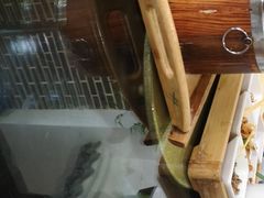 -映像威海·海鲜味道(市区店)