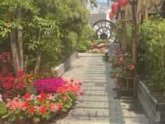 -慢丽江·云南野生菌土鸡锅(付家庄店)
