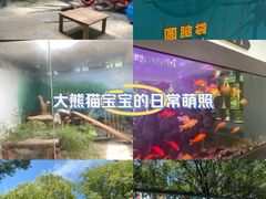 -杭州动物园