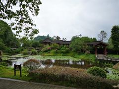 -邓小平故里