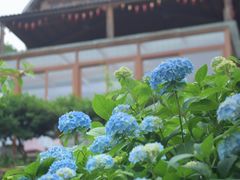 -天地生态农庄