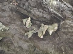 -通灵大峡谷