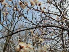 -龙洞风景区-藏龙涧