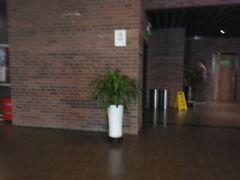 -太平洋影城(深圳8号仓店)