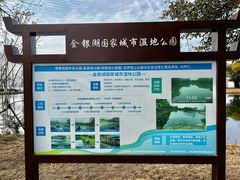 -金银湖国家城市湿地公园