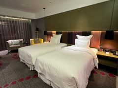 -南京禄口机场雅高铂尔曼大酒店