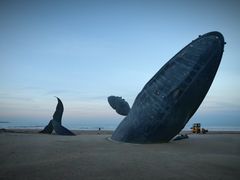 -鱼满舱·鲜活海鲜·正宗鲁菜