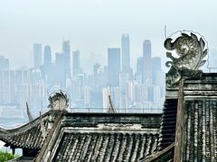 -南山植物园