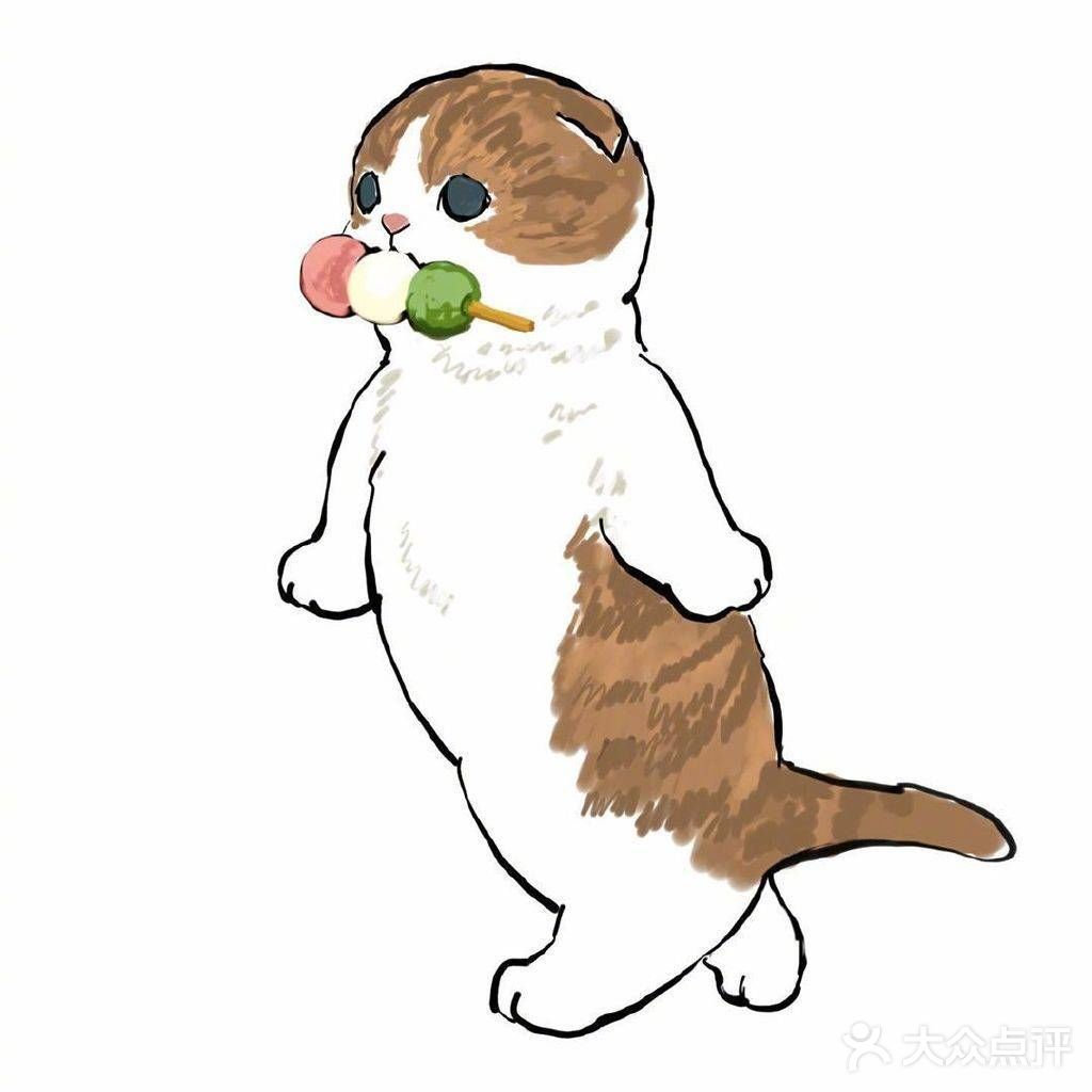 注意！前方有猫咪出没