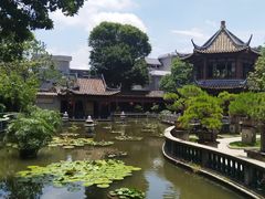 -碧江金楼