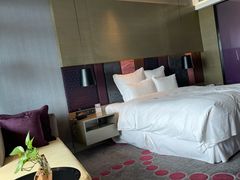 -南京禄口机场雅高铂尔曼大酒店