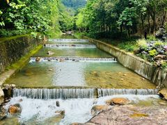 -广州白江湖森林公园