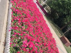 -广东花都湖国家湿地公园