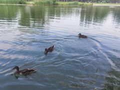 -朝阳公园游乐园