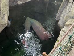 -青青世界