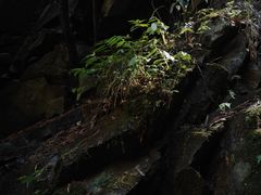 -藏龙百瀑风景区