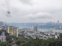 -茶泡饭(李子坝店)