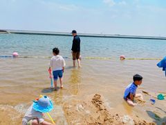 -碧海金沙