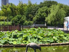 -苏州河梦清园环保主题公园