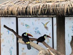 -上海野生动物园