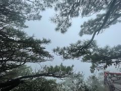 -萍乡武功山风景名胜区